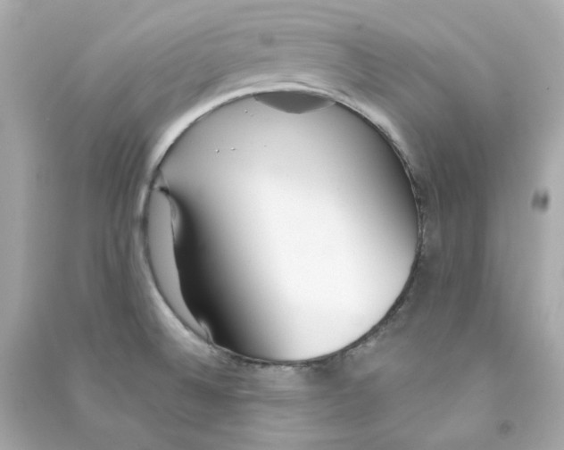 X0000090461524200708102100