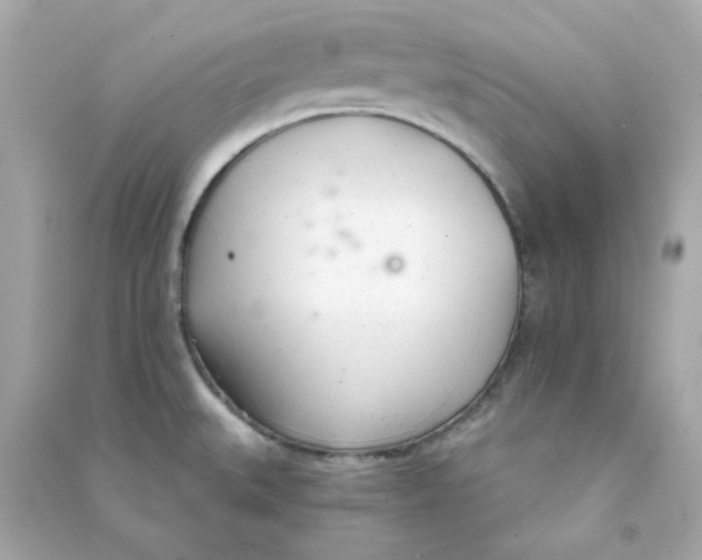 X0000090461527200708102100