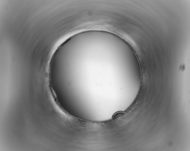 X0000090461528200708102100