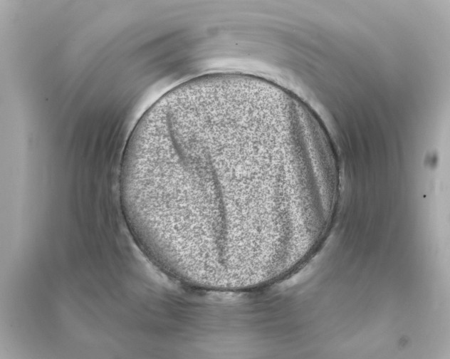X0000090461529200708102100