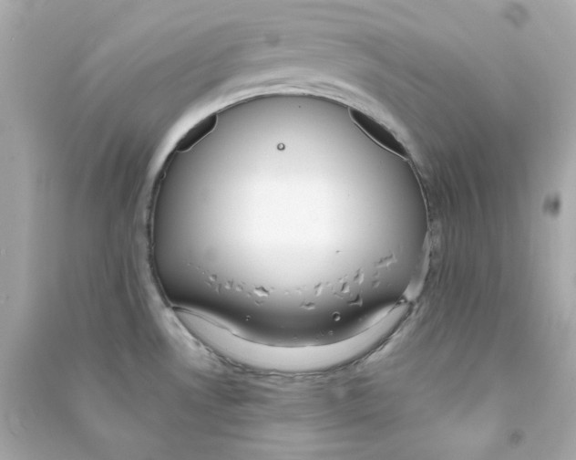 X0000090461530200708102100