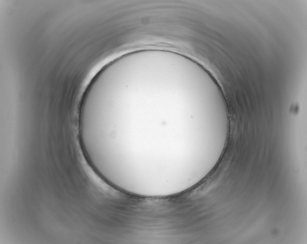 X0000090461531200708102100