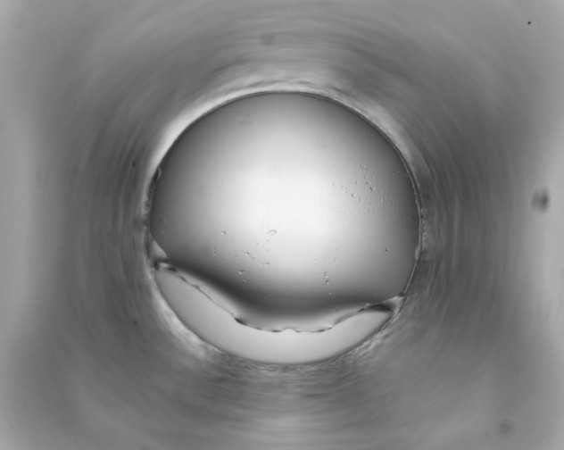 X0000090461532200708102100
