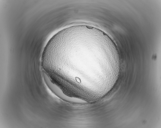 X0000090461535200708102100