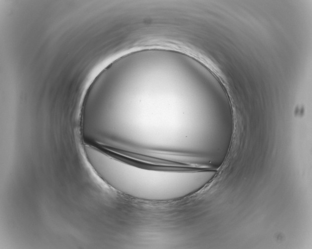 X0000090461536200708102100