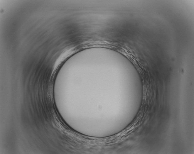 X0000090470004200707131030