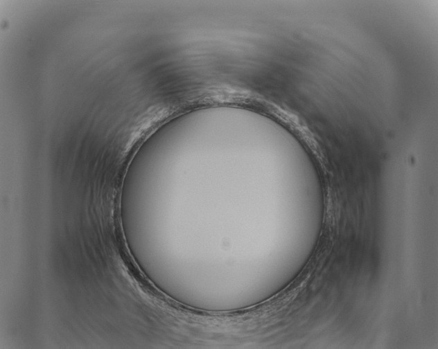 X0000090470010200707131030