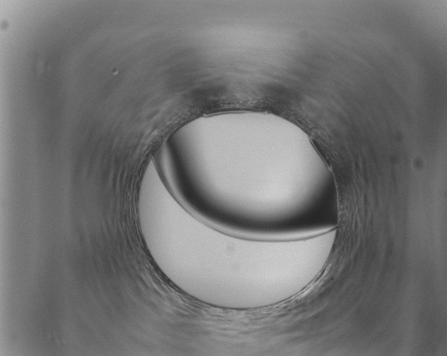 X0000090470045200707131029