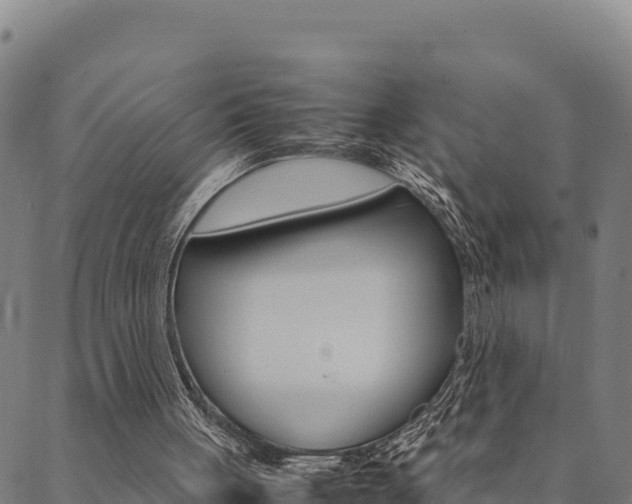 X0000090470051200707131028
