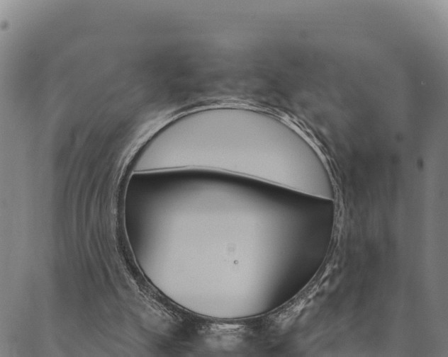 X0000090470055200707131029