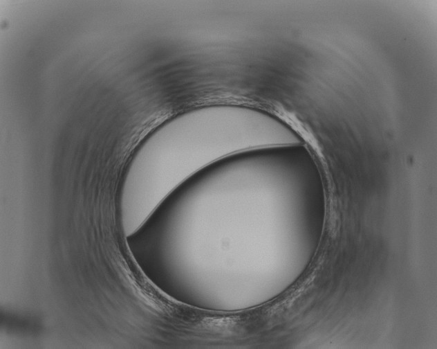 X0000090470057200707131029