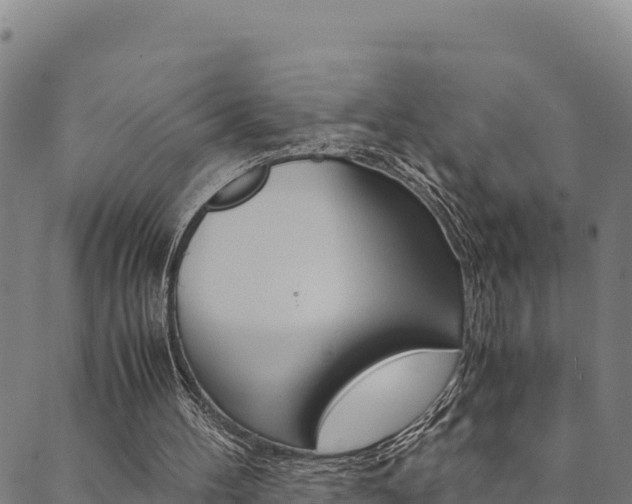 X0000090470100200707131028
