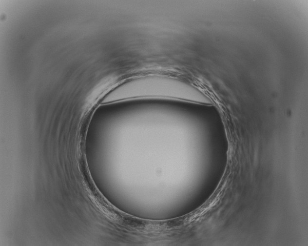 X0000090470101200707131028