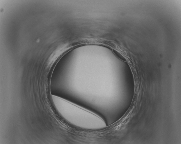 X0000090470103200707131028
