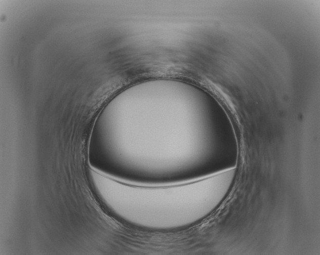 X0000090470105200707131028