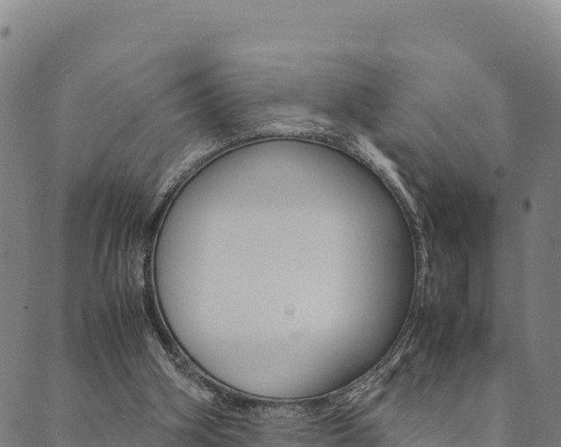 X0000090470106200707131028