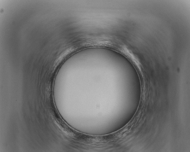 X0000090470107200707131028