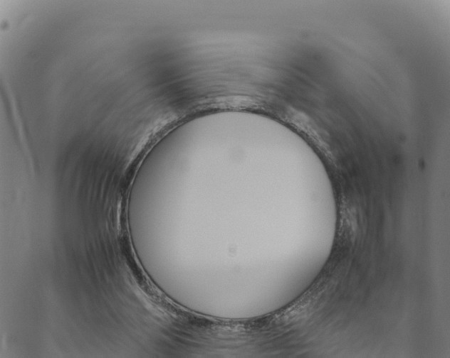 X0000090470110200707131028