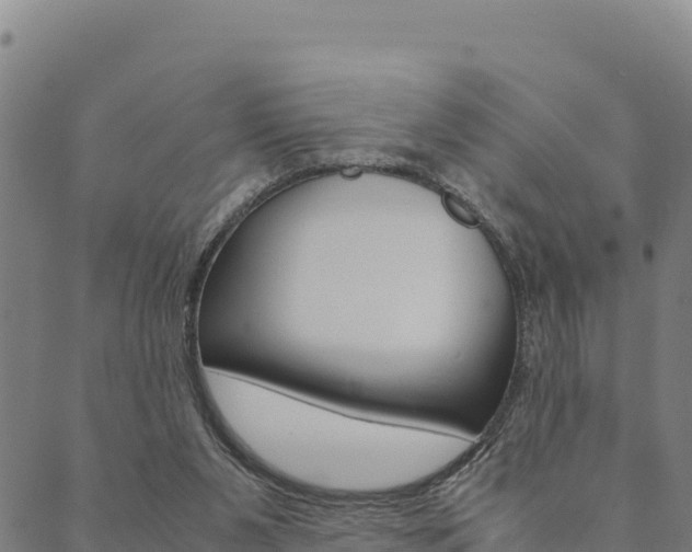 X0000090470111200707131028