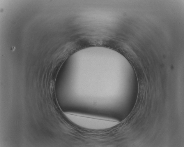 X0000090470125200707131028