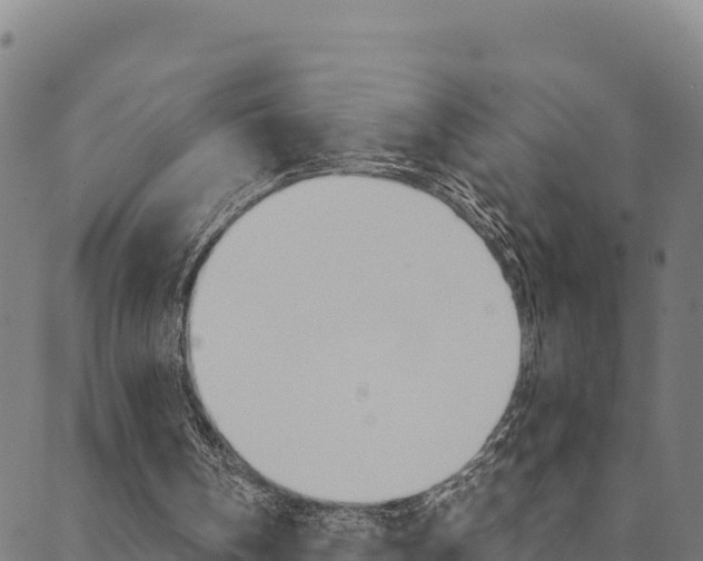 X0000090470146200707131027