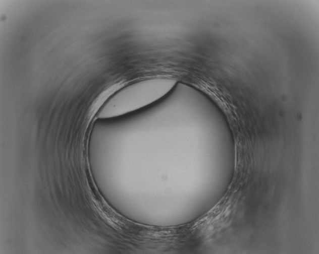 X0000090470147200707131027
