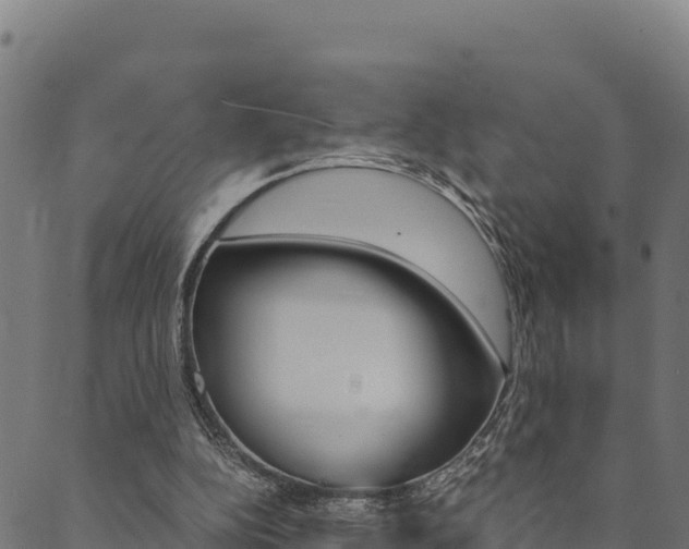 X0000090470152200707131027