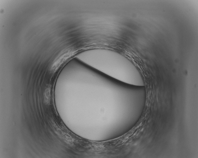X0000090470194200707131027