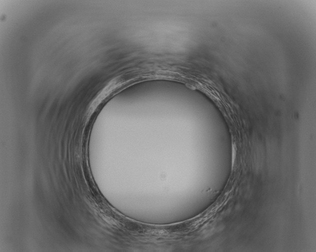 X0000090470195200707131027