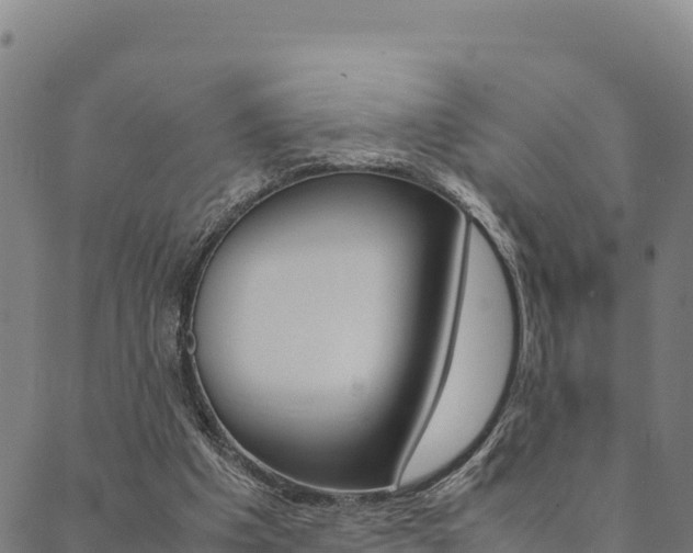 X0000090470201200707131027
