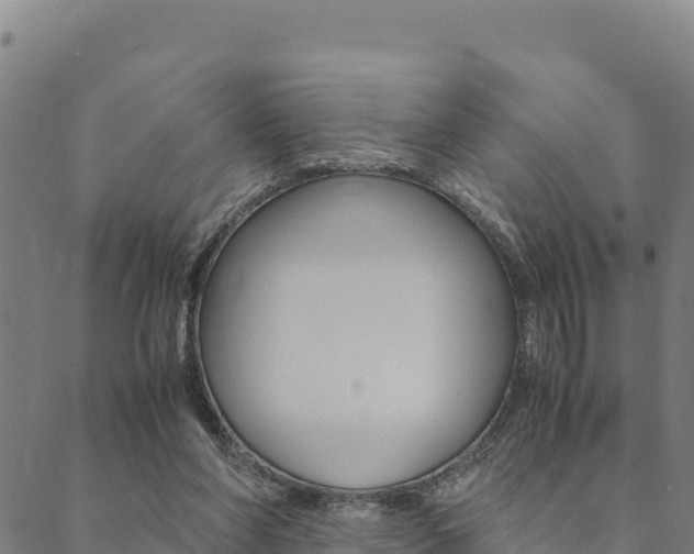 X0000090470206200707131027