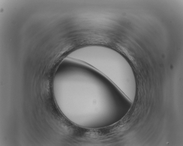 X0000090470211200707131027