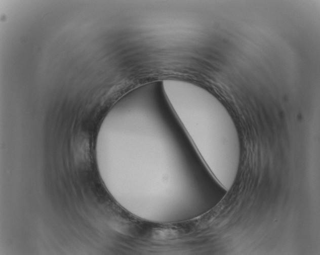X0000090470220200707131026