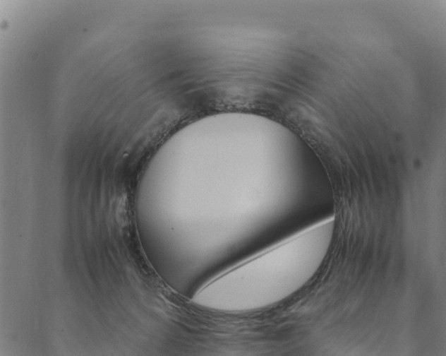X0000090470224200707131026