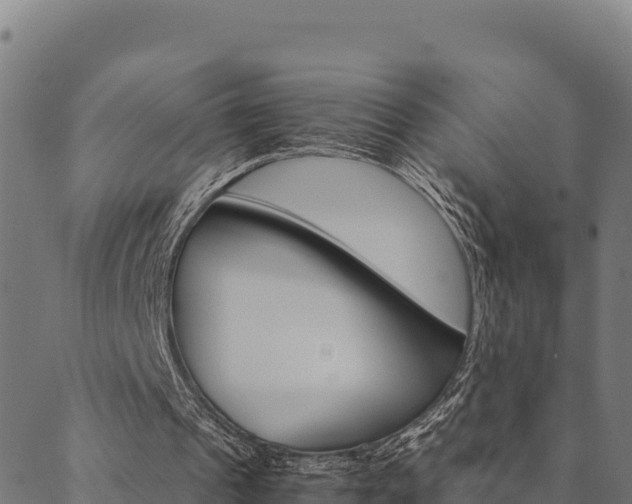 X0000090470241200707131025