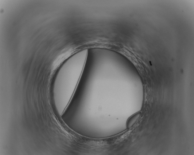 X0000090470245200707131025
