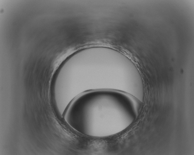 X0000090470248200707131025