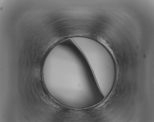 X0000090470249200707131025