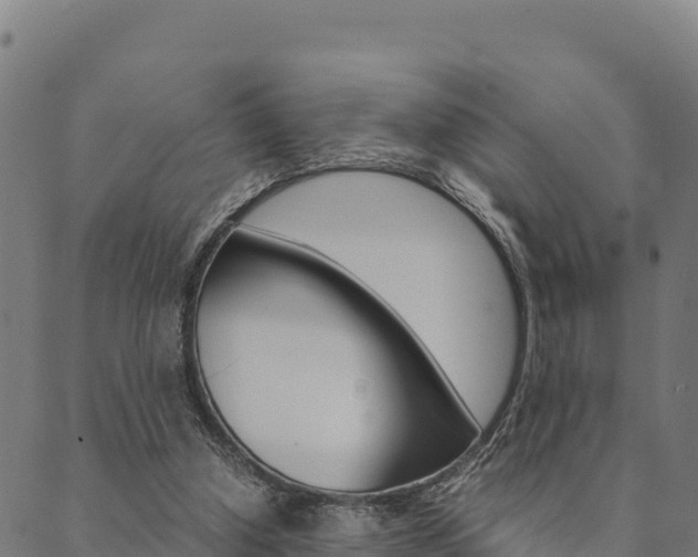 X0000090470250200707131025