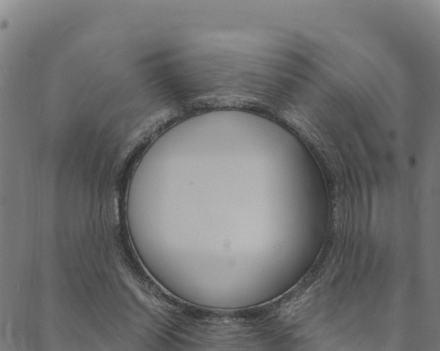 X0000090470254200707131026
