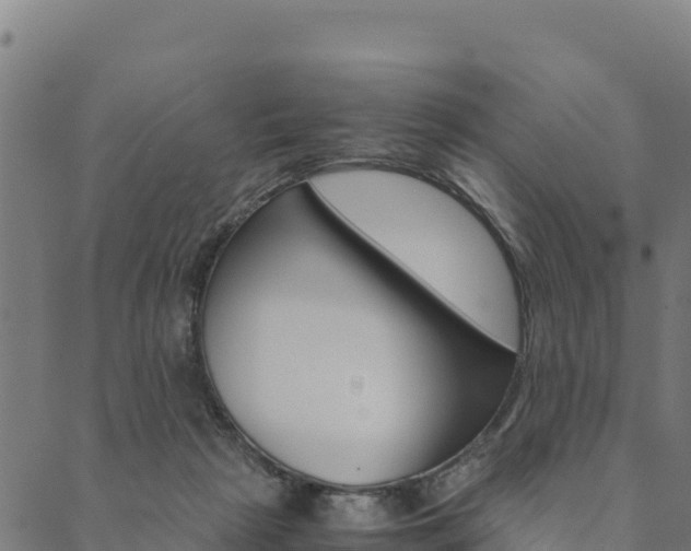 X0000090470265200707131026