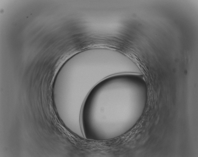 X0000090470289200707131025