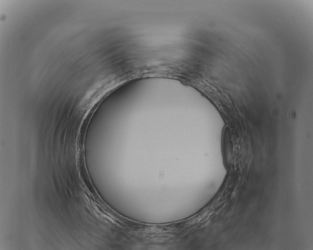 X0000090470290200707131025