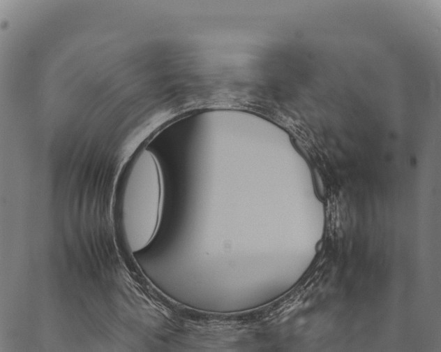 X0000090470292200707131025