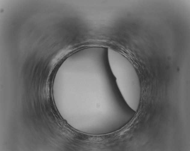 X0000090470294200707131025