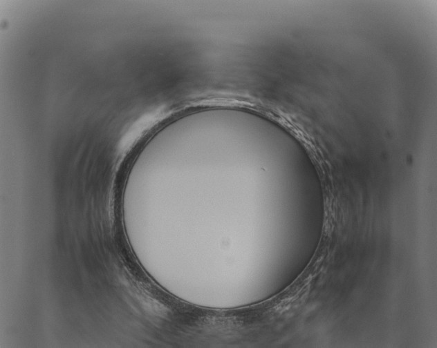 X0000090470296200707131025