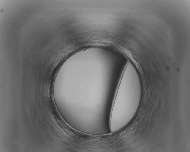 X0000090470299200707131025