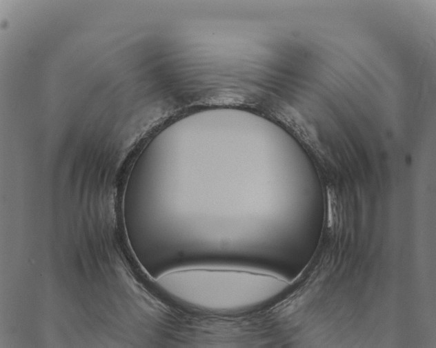 X0000090470300200707131025