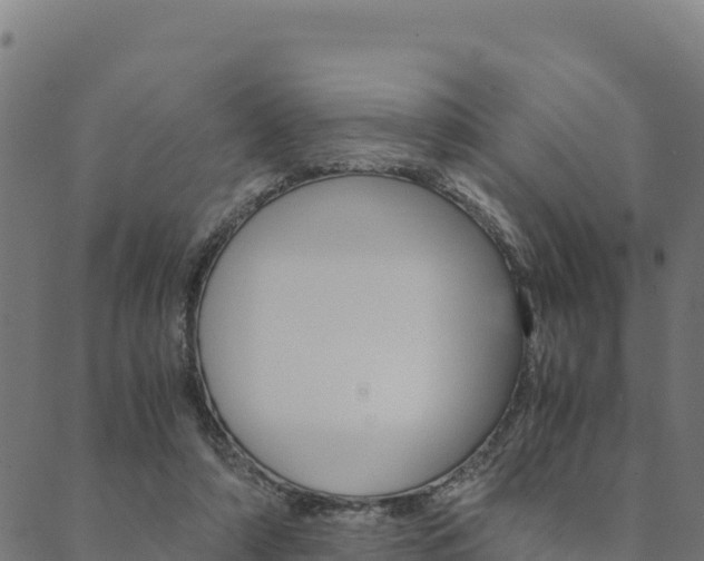 X0000090470306200707131025