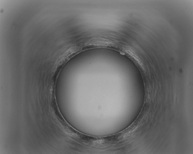 X0000090470309200707131025
